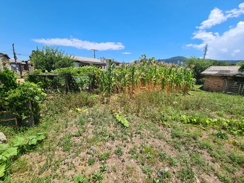 Terreno Residencial: 5ª foto da galeria de imagens do imóvel