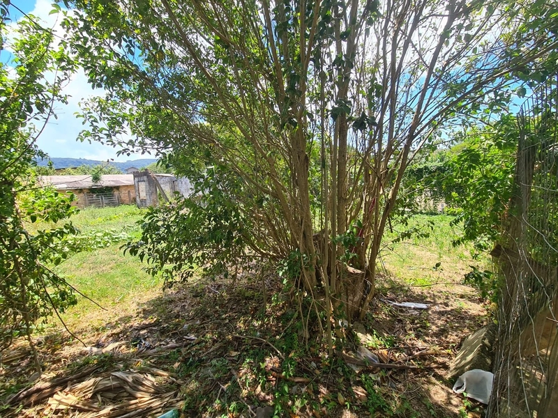 Terreno Residencial: 4ª foto da galeria de imagens do imóvel