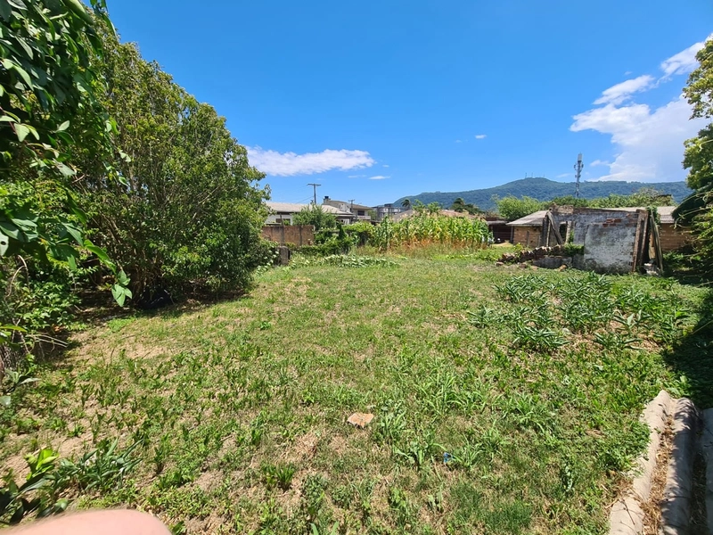 Terreno Residencial: 9ª foto da galeria de imagens do imóvel