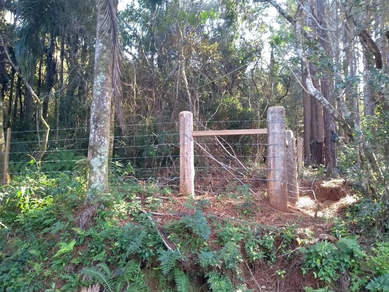 Excelente área no Morro da Borússia próxima ao Restaurante Dodô: 8ª foto da galeria de imagens do imóvel