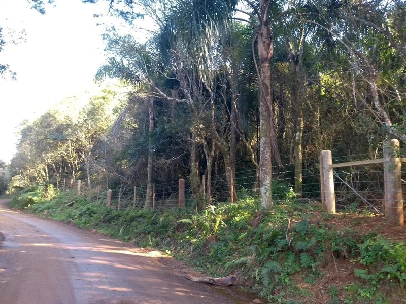 Excelente área no Morro da Borússia próxima ao Restaurante Dodô: 3ª foto da galeria de imagens do imóvel