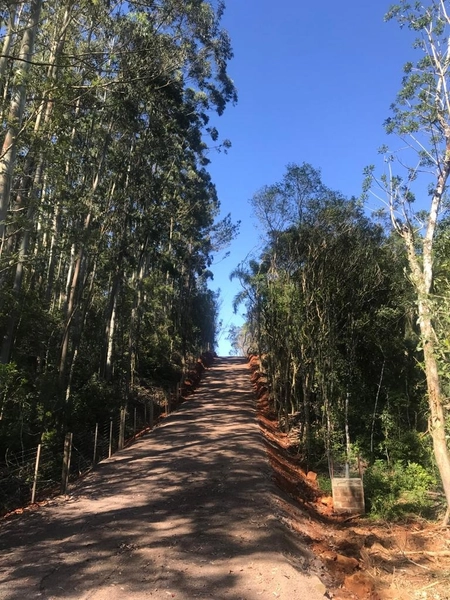 Excelente área no Morro da Borússia próxima ao Restaurante Dodô: 16ª foto da galeria de imagens do imóvel