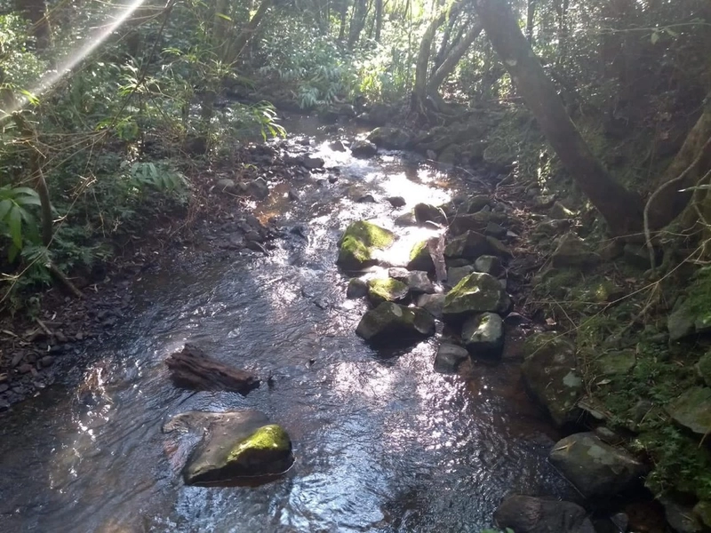 Excelente área no Morro da Borússia próxima ao Restaurante Dodô: 10ª foto da galeria de imagens do imóvel