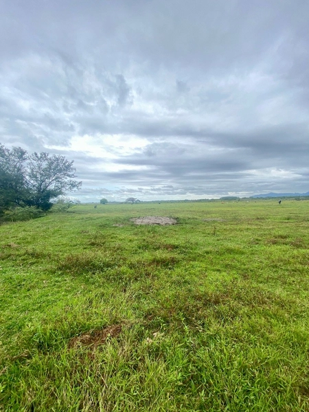 : 1ª foto da galeria de imagens do imóvel