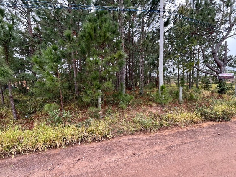 : 2ª foto da galeria de imagens do imóvel