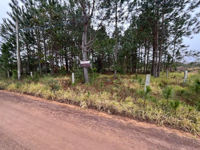 : 1ª foto da galeria de imagens do imóvel