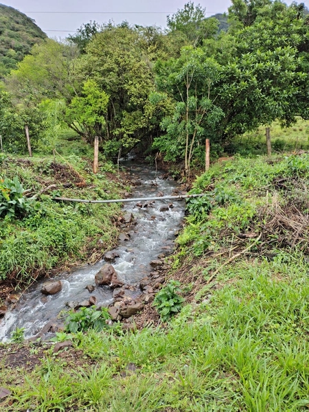 : 7ª foto da galeria de imagens do imóvel