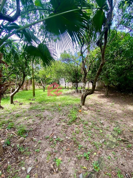 : 15ª foto da galeria de imagens do imóvel