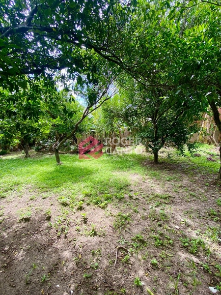 : 14ª foto da galeria de imagens do imóvel