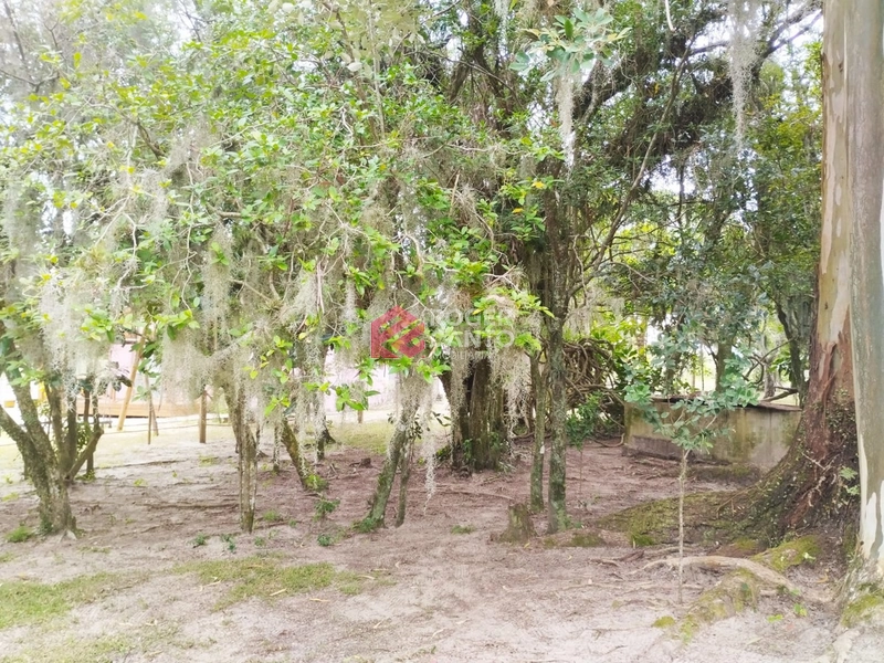 : 3ª foto da galeria de imagens do imóvel