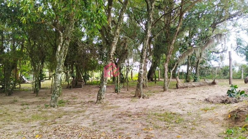 : 7ª foto da galeria de imagens do imóvel