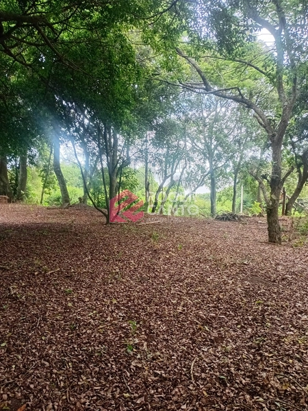 : 2ª foto da galeria de imagens do imóvel