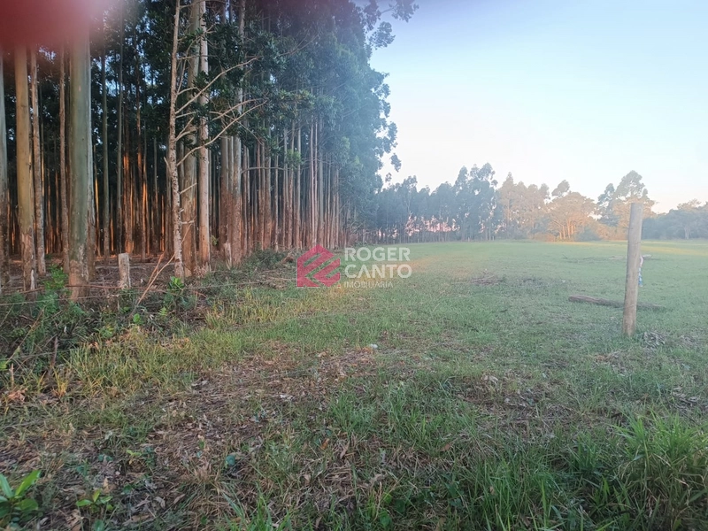 : 2ª foto da galeria de imagens do imóvel