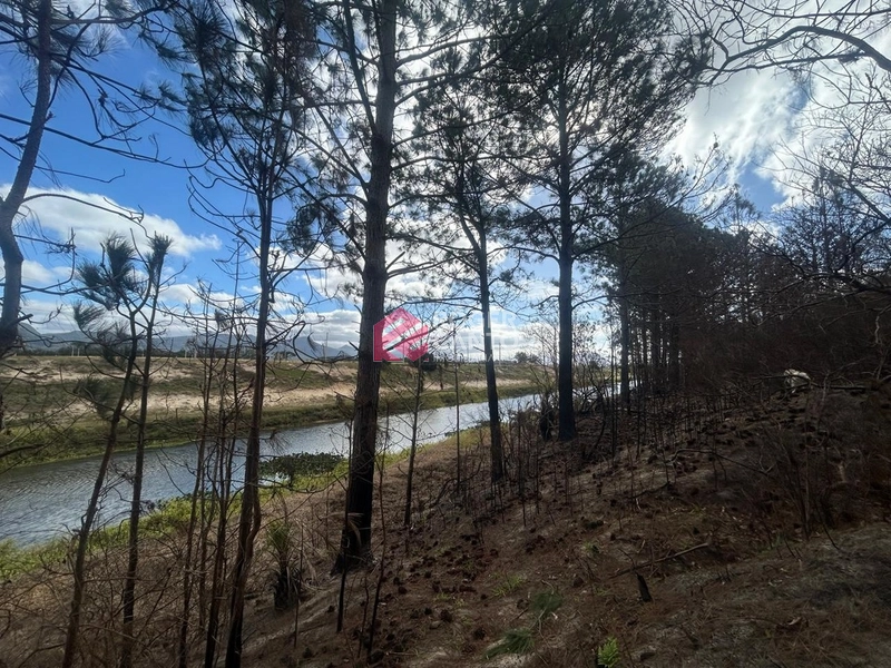 Casa no palmital: 5ª foto da galeria de imagens do imóvel