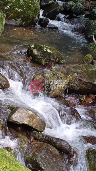 LINDO SITIO: 52ª foto da galeria de imagens do imóvel