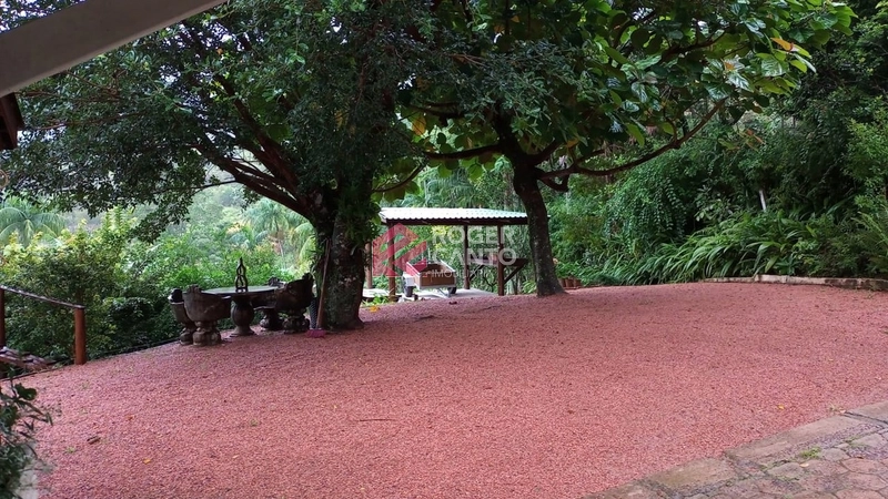 LINDO SITIO: 55ª foto da galeria de imagens do imóvel