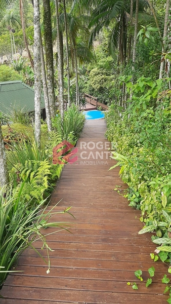 LINDO SITIO: 58ª foto da galeria de imagens do imóvel