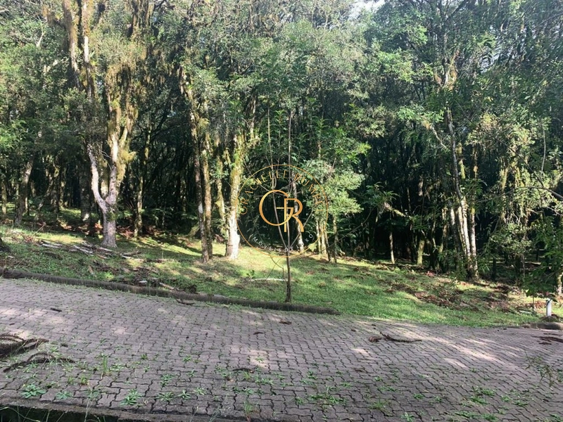 Terreno no Residencial Pinheiro Grosso!: 1ª foto da galeria de imagens do imóvel