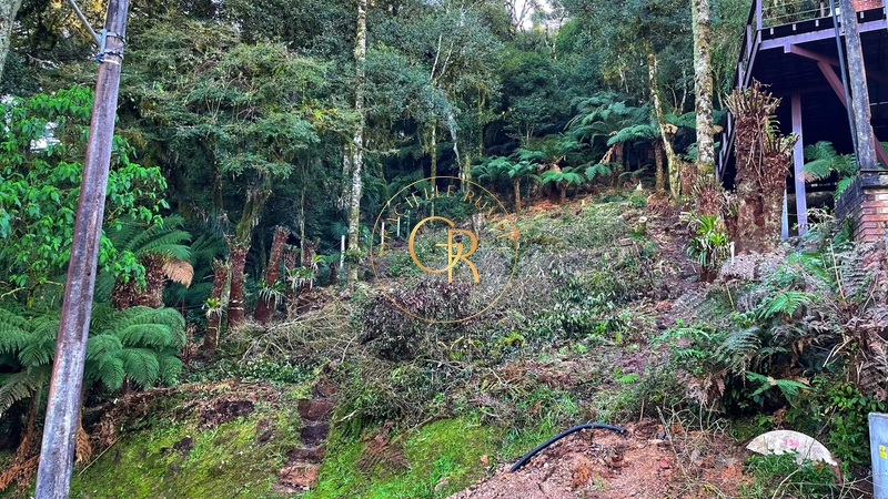 Terreno com projeto aprovado em Condomínio de Alto Padrão: 1ª foto da galeria de imagens do imóvel