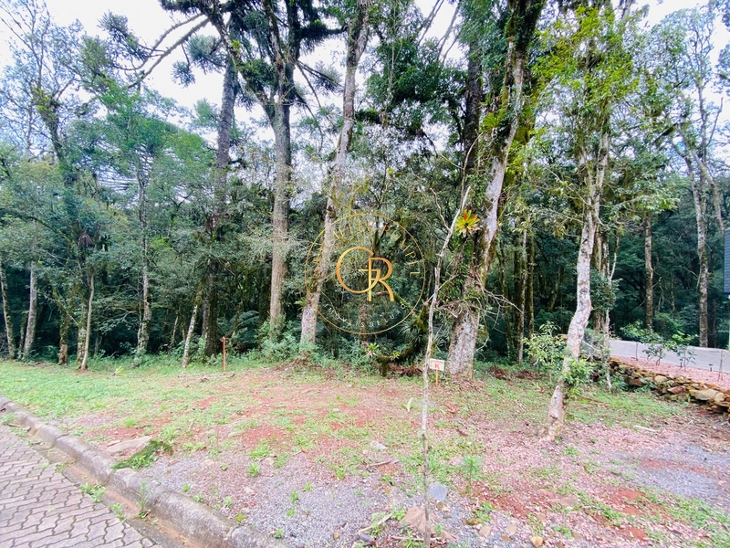 Terreno no condomínio Pinheiro Grosso!: 2ª foto da galeria de imagens do imóvel