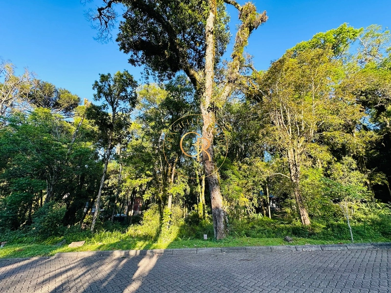 Terreno em Condomínio em Canela: 1ª foto da galeria de imagens do imóvel