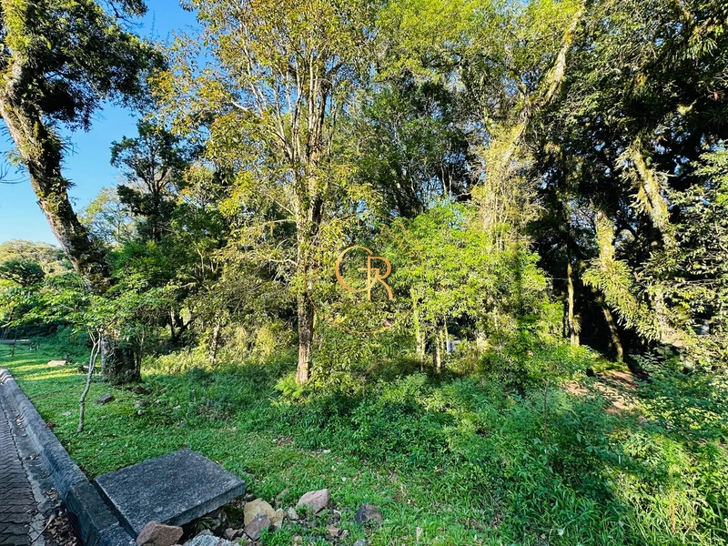 Terreno em Condomínio em Canela: 3ª foto da galeria de imagens do imóvel