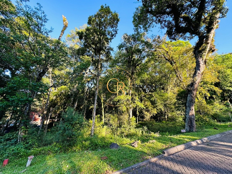 Terreno em Condomínio em Canela: 2ª foto da galeria de imagens do imóvel