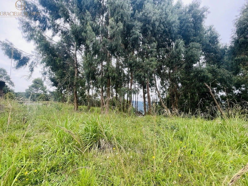 Terreno com vista para o Vale em Canela: 3ª foto da galeria de imagens do imóvel