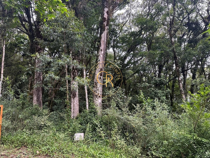 Terreno em Condomínio de Alto Padrão em Canela!: 6ª foto da galeria de imagens do imóvel