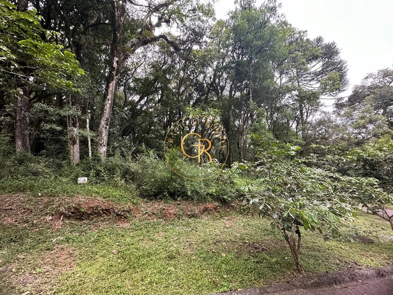 Terreno em Condomínio de Alto Padrão em Canela!: 3ª foto da galeria de imagens do imóvel