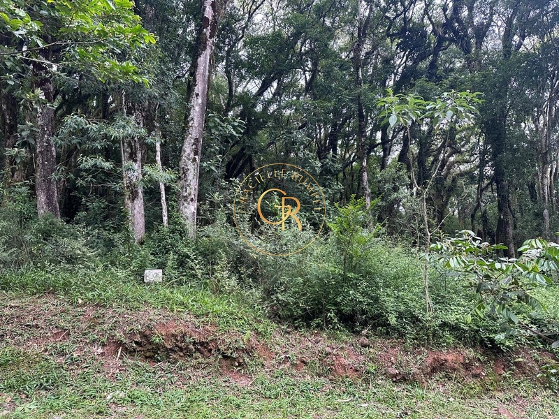 Terreno em Condomínio de Alto Padrão em Canela!: 4ª foto da galeria de imagens do imóvel