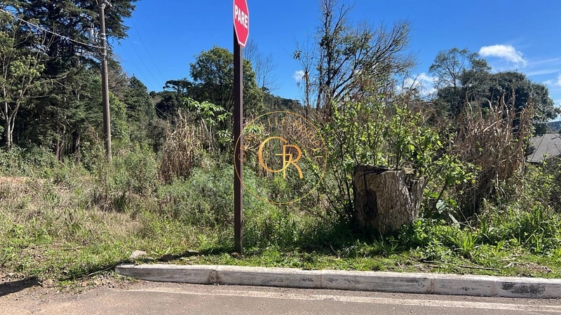 Terreno no Loteamento Vale dos Pinheiros: 5ª foto da galeria de imagens do imóvel
