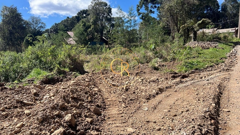 Terreno no Loteamento Vale dos Pinheiros: 4ª foto da galeria de imagens do imóvel