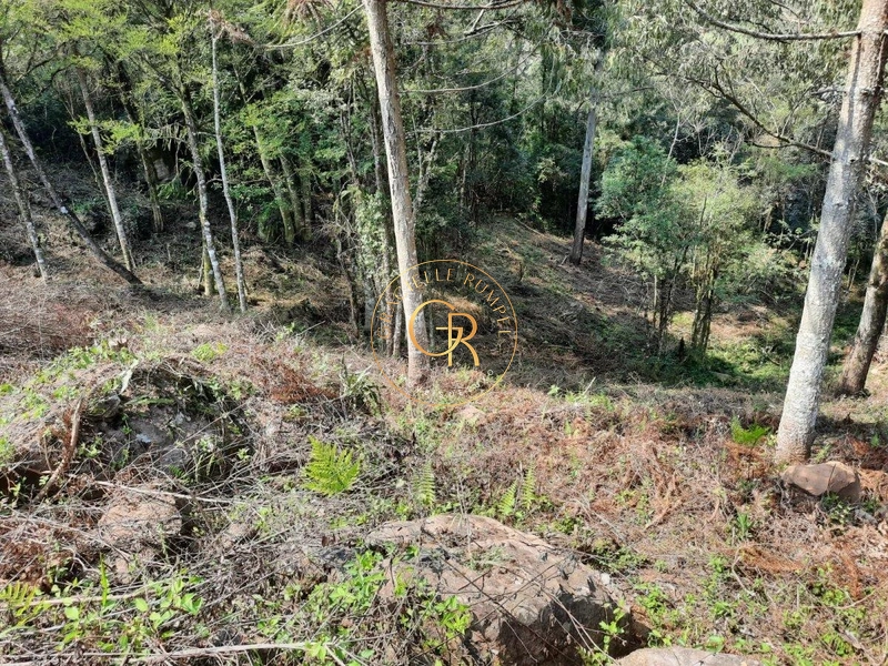 Terreno em Santa Maria do Herval: 5ª foto da galeria de imagens do imóvel