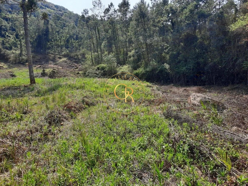 Terreno em Santa Maria do Herval: 6ª foto da galeria de imagens do imóvel