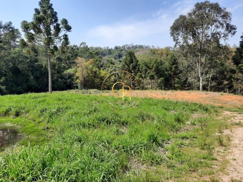 Terreno em Santa Maria do Herval: 1ª foto da galeria de imagens do imóvel