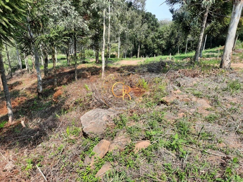 Terreno em Santa Maria do Herval: 4ª foto da galeria de imagens do imóvel