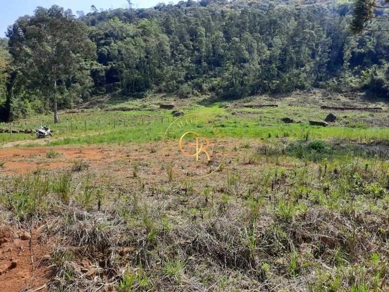 Terreno em Santa Maria do Herval: 3ª foto da galeria de imagens do imóvel