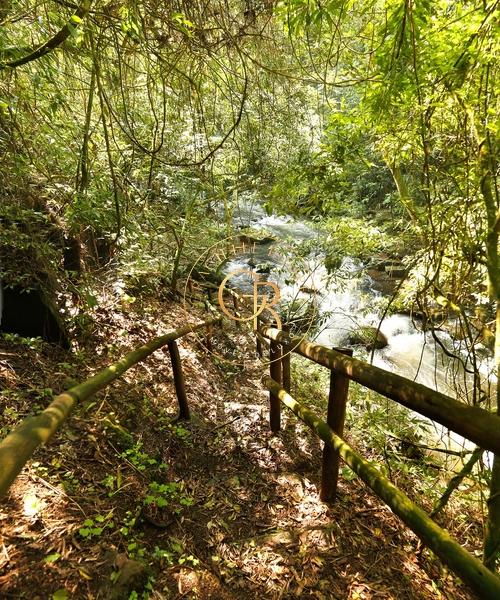 Sítio em Gramado Casa da Montanha: 29ª foto da galeria de imagens do imóvel