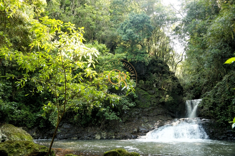 Sítio em Gramado Casa da Montanha: 31ª foto da galeria de imagens do imóvel
