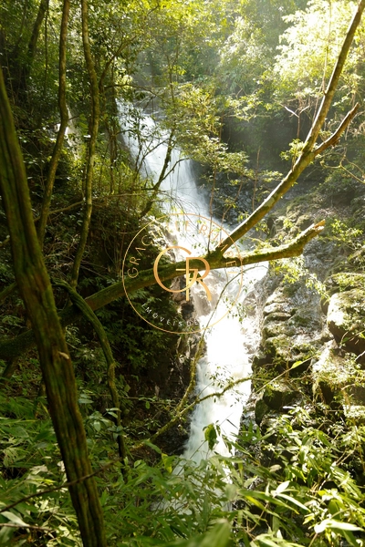 Sítio em Gramado Casa da Montanha: 35ª foto da galeria de imagens do imóvel