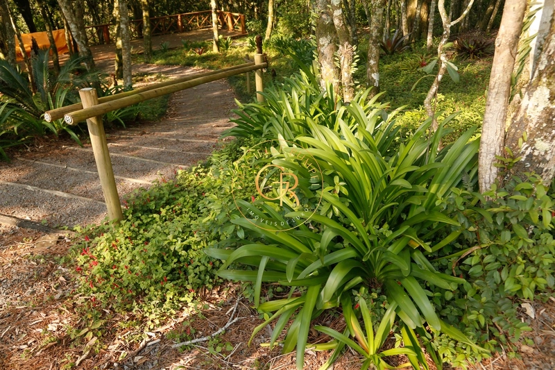Sítio em Gramado Casa da Montanha: 28ª foto da galeria de imagens do imóvel