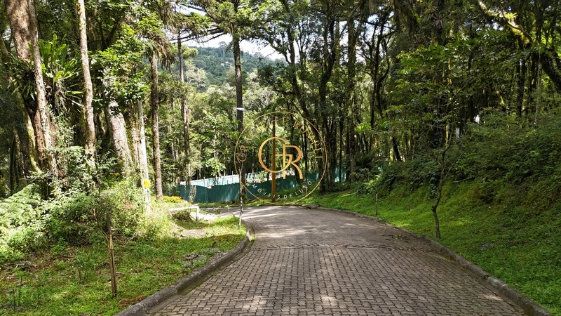 Terreno com projeto aprovado em Condomínio de Alto Padrão em Canela: 3ª foto da galeria de imagens do imóvel