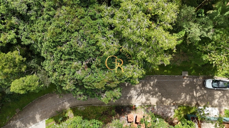 Terreno com projeto aprovado em Condomínio de Alto Padrão em Canela: 4ª foto da galeria de imagens do imóvel