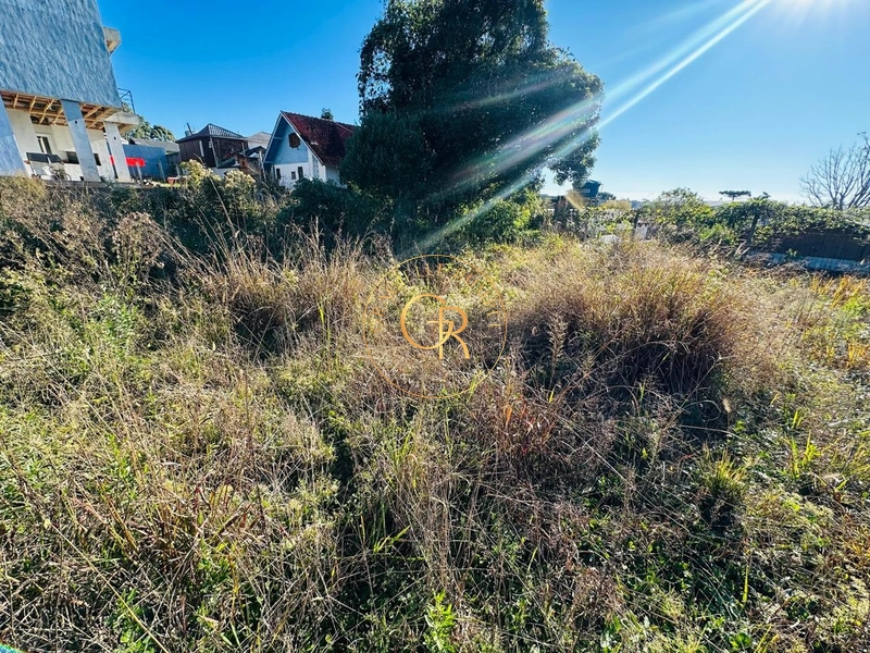 Terreno em Canela à 5 minutos da Catedral de Pedra: 3ª foto da galeria de imagens do imóvel