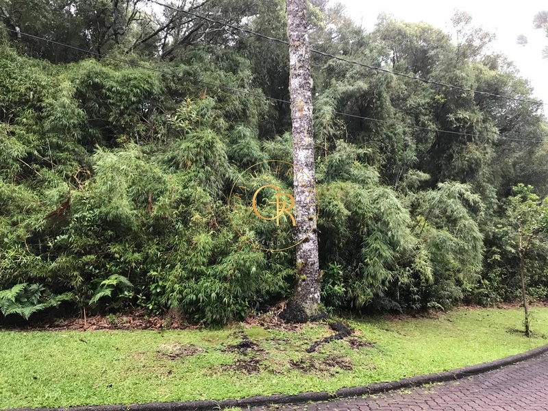 Terreno em Condomínio Fechado em Canela: 1ª foto da galeria de imagens do imóvel