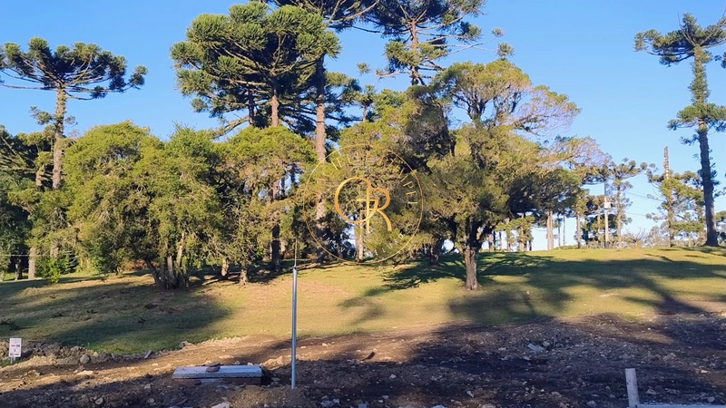 Terreno em Residencial Jardim do Farol em Canela: 4ª foto da galeria de imagens do imóvel