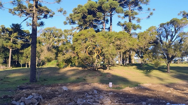 Terreno em Residencial Jardim do Farol em Canela: 3ª foto da galeria de imagens do imóvel