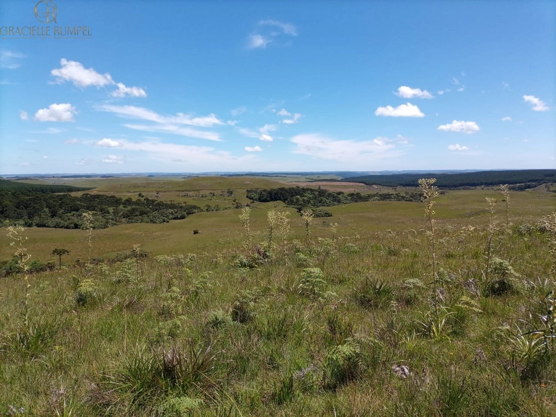 Fazenda em São Francisco de Paula!: 11ª foto da galeria de imagens do imóvel