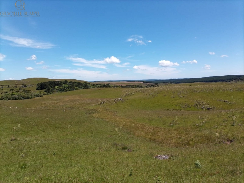 Fazenda em São Francisco de Paula!: 7ª foto da galeria de imagens do imóvel